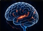 Neuro solutions
