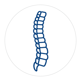 Spine Implants